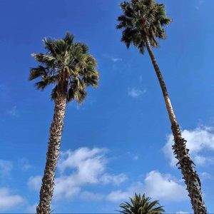 Meet your Posher, Ethan